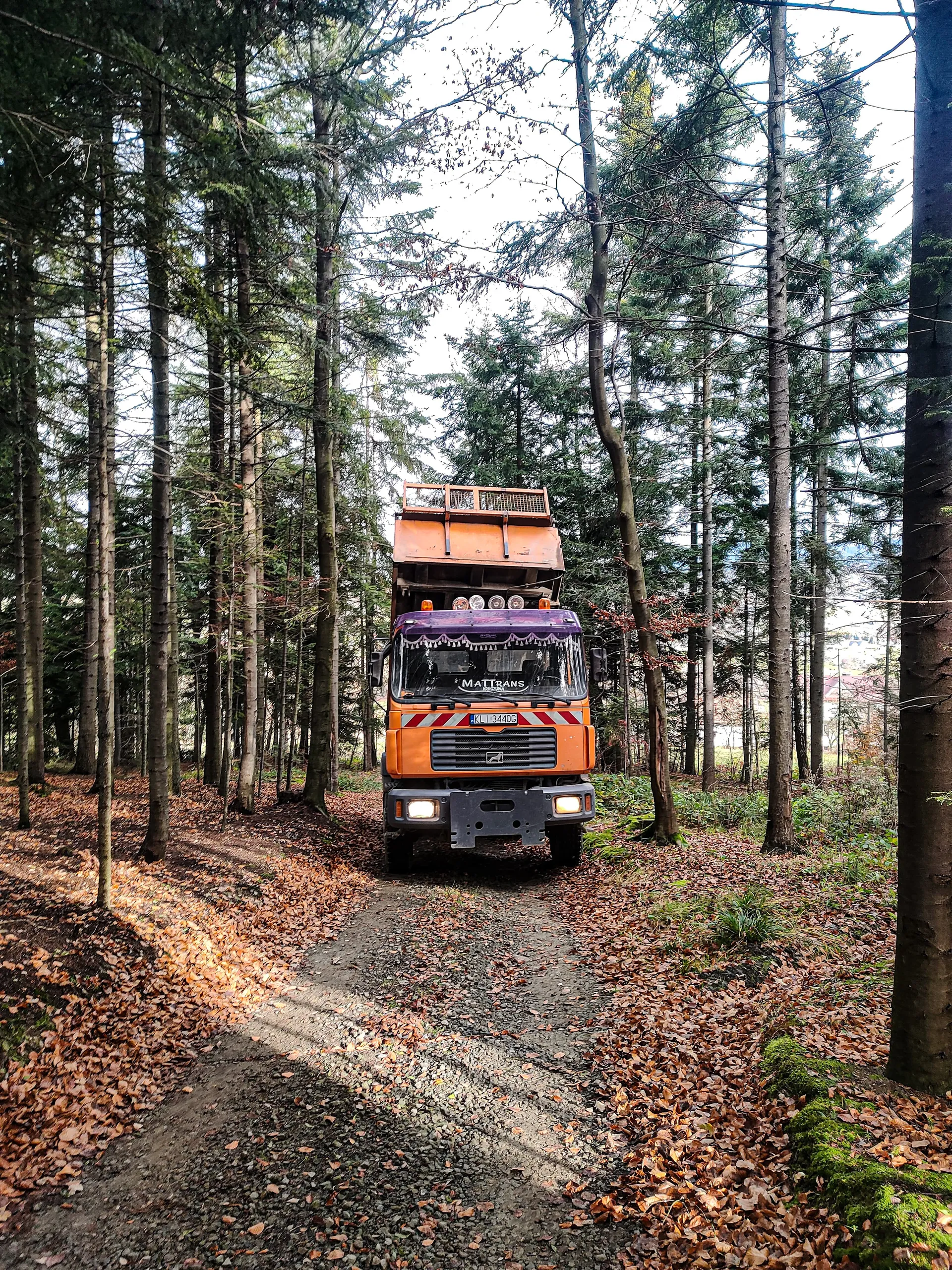 Transport Mattrans